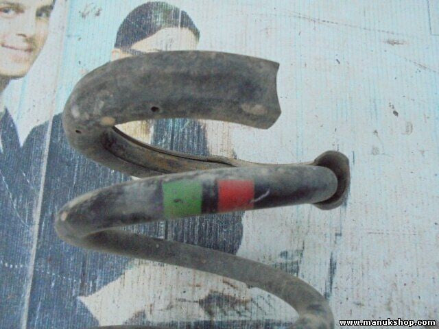 Muelles Renault Scenic I 1.9 DCi XX4