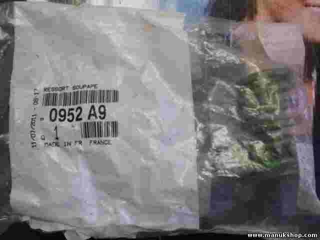 Citroen Peugeot 0952A9 0952.A9