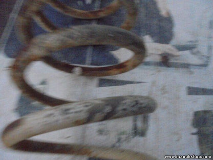 Muelles Lada Niva 2121 1600 1976/12-1987/05 1570 ccm, 56 KW, 76 PS 21212912712