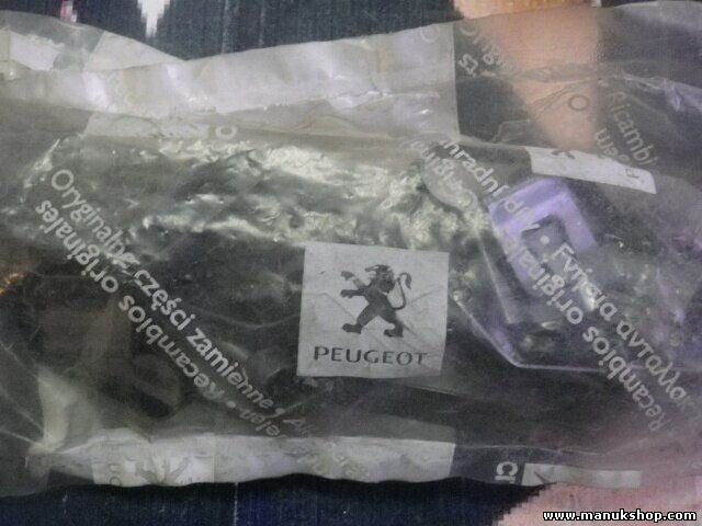 Citroen Peugeot 213806 2138.06