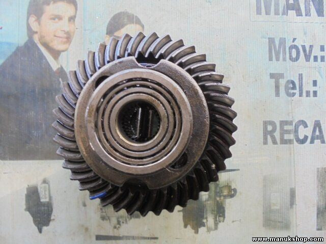 Grupo Diferencial Trasero Tata Safari 2.2 2004 0134X 3F101 piñón 41 SIL-11