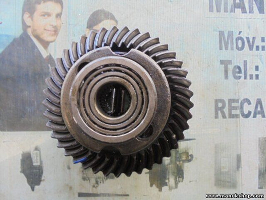 Grupo Diferencial Trasero Tata Safari 2.2 2004 0134X 3F101 piñón 41 SIL-11