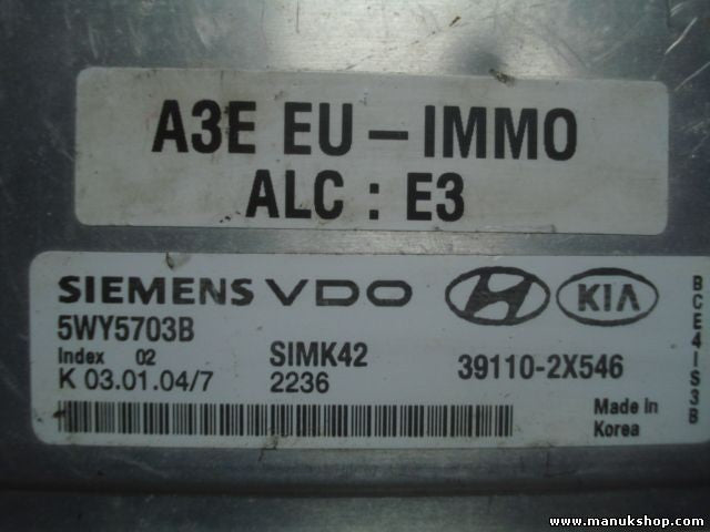 Centralita del motor Kia Rio 2004 391102X546 39110-2X546 5WY5703B SIMK42 \