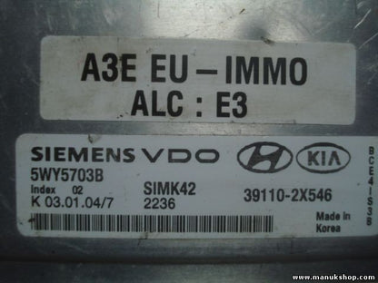Centralita del motor Kia Rio 2004 391102X546 39110-2X546 5WY5703B SIMK42 \
