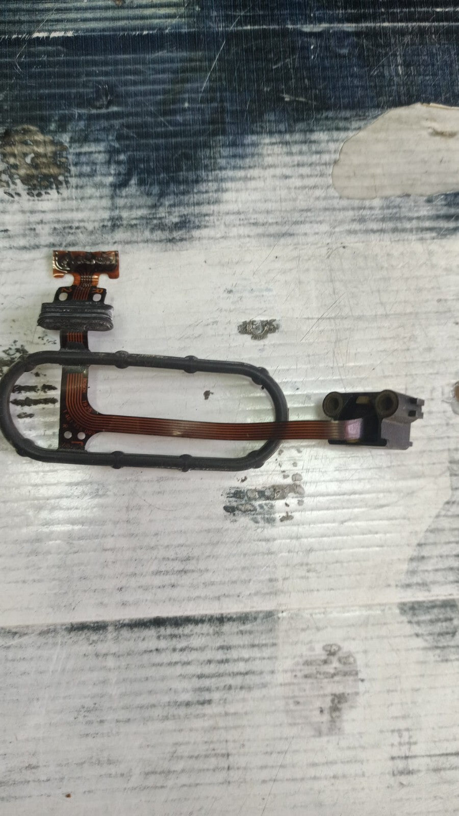 Sensore velocità giri ruota Audi Ford Opel BMW E46 1461455009