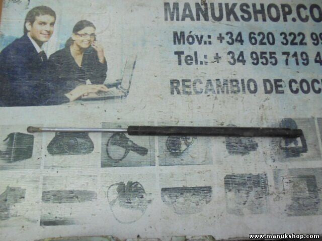 Portón Trasero amortiguador Jeep 1991 42962931 4296 2931