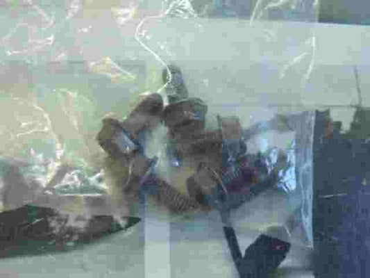 Toyota Camry Lexus GX460 IS IS250 IS350 9010506258 90105-06258