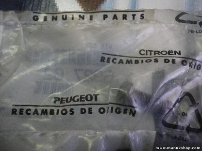 ESTÁNDAR DE CLIP Citroen Peugeot 699545 6995.45