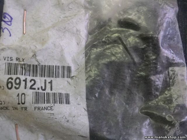 Tornillo RLX  Citroen Peugeot 6912J1 6912.J1