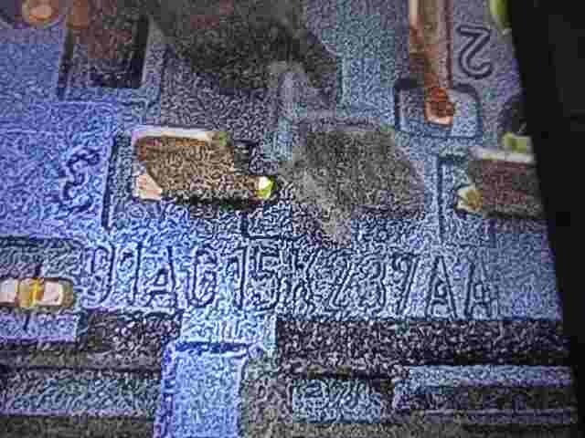 Niebla interruptor  Ford Escort Orion 91AG15K237AA 91AG 15K23 7AA