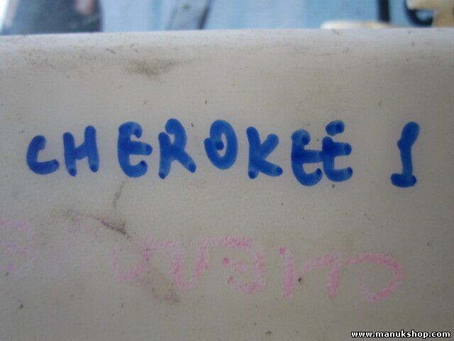 Deposito Limpia Jeep Cherokee XJ 2.5 TD 55155318 55155319 44037H CAV