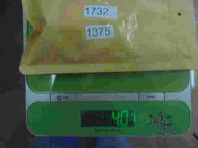 Iveco Daily EuroStar I/II Van/Bus TRW Sipea 12V-15/30 1732