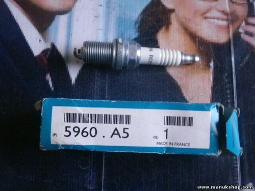 Citroen Peugeot 5960.A5 5960A5