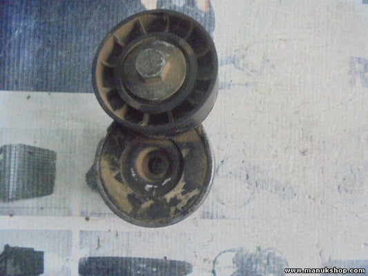 Tensor Correa Auxiliar Fiat Punto 46819146