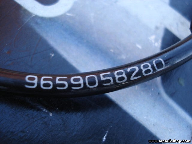 Sensor velocidad revoluciones de la rueda Peugeot 307 Citroen C4 2009 9659058280