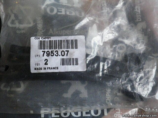 Citroen Peugeot 795307 7953.07