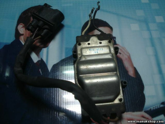 modulo ventola raffreddamento VW Touareg L0959455C 0130303292 1137328172