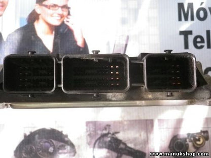 Centralita del motor Peugeot 9655943580 96 559 435 80 9653958980 0281011863