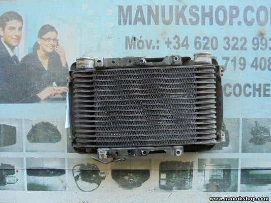 Radiador de intercooler Hyundai Galloper II JK-01 2.5 73 KW, 99 PS HR140101 TEDA