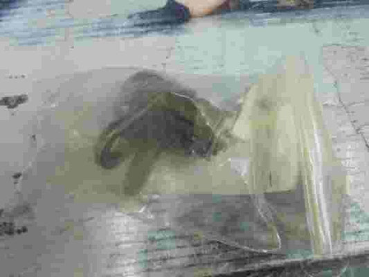 Conmutador de arranque Toyota Land Cruiser 100 690516020084