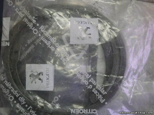 Citroen Peugeot 334535 3345.35