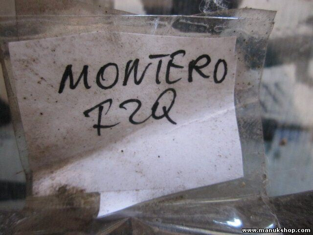 Pinza delantera izquierda Mitsubishi Pajero Montero 33F 33R 9X5