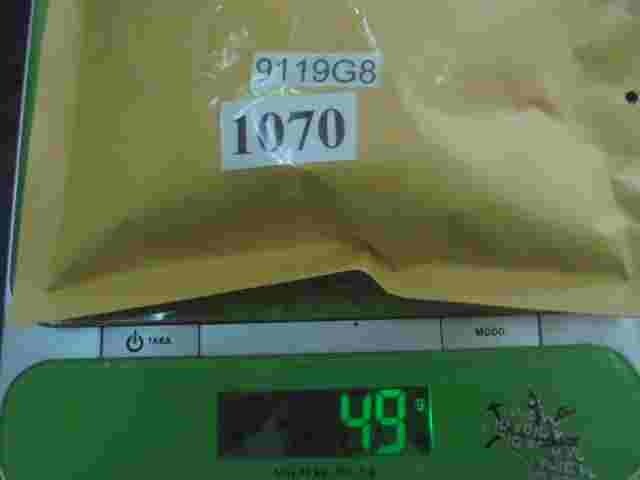 Citroen Peugeot 9119.G8 9119G8