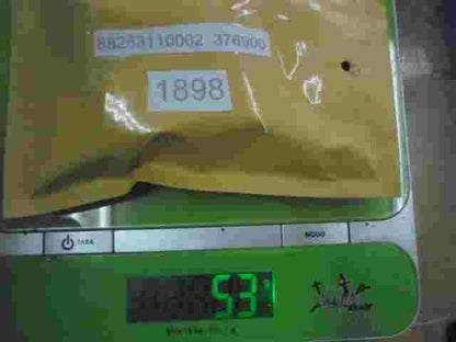 El dispositivo de control MAN 24 21W 88253110002 88.25311.0002 376900