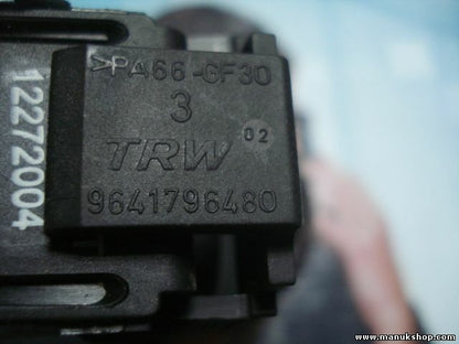 Cruise control del interruptor Citroen Peugeot TRW 9641796480 96637157XT 