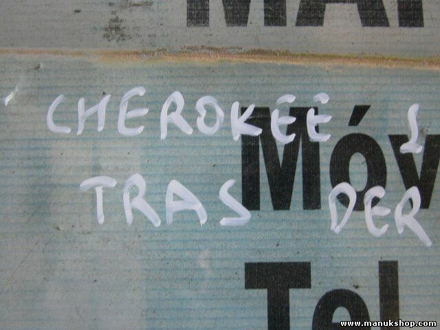 Vetro porta posteriore destro Jeep Grand Cherokee 43R001075 DOT287VFM326