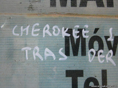 Vetro porta posteriore destro Jeep Grand Cherokee 43R001075 DOT287VFM326