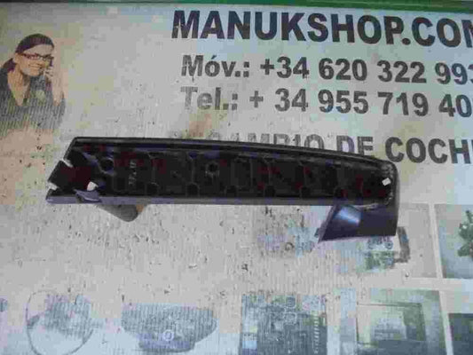 Asidero Audi Q7 SK P0110553 BH6