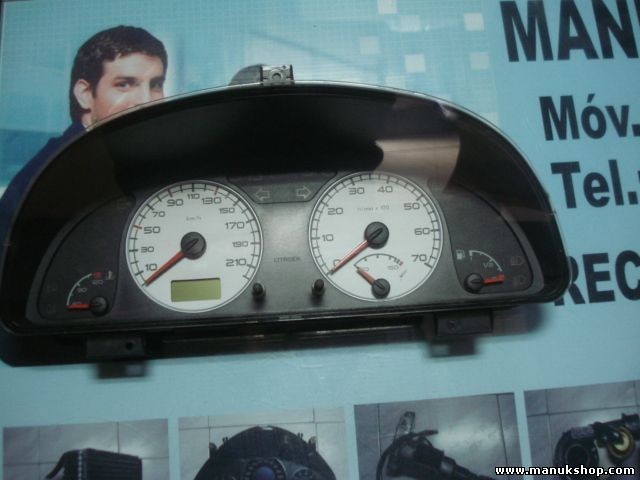 Cuadro de instrumentos Citroen Xsara P9648650480 OR 00 21672438 5 X1 216724385X1