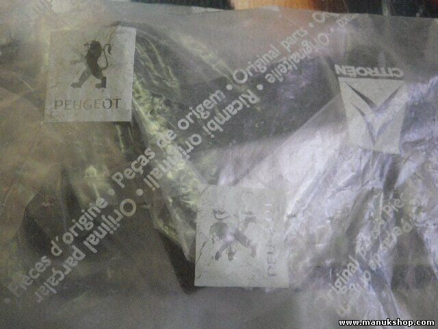Citroen Peugeot 858245 8582.45