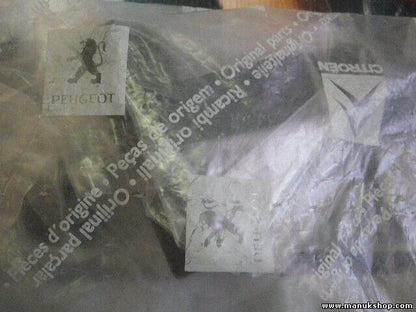 Citroen Peugeot 858245 8582.45