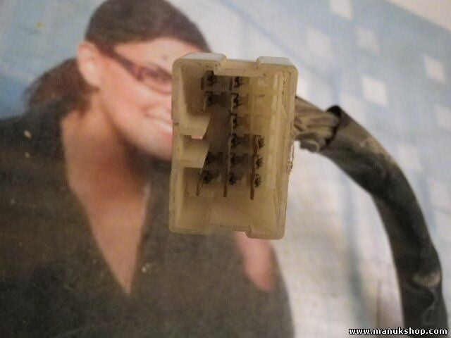 Control de la unidad de alarma inmovilizador módulo Tata Safari 004006730