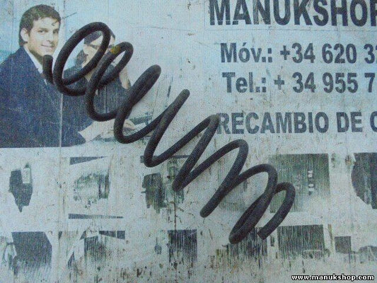 Muelles Nissan Terrano Patrol X-Trail King Cab Navara