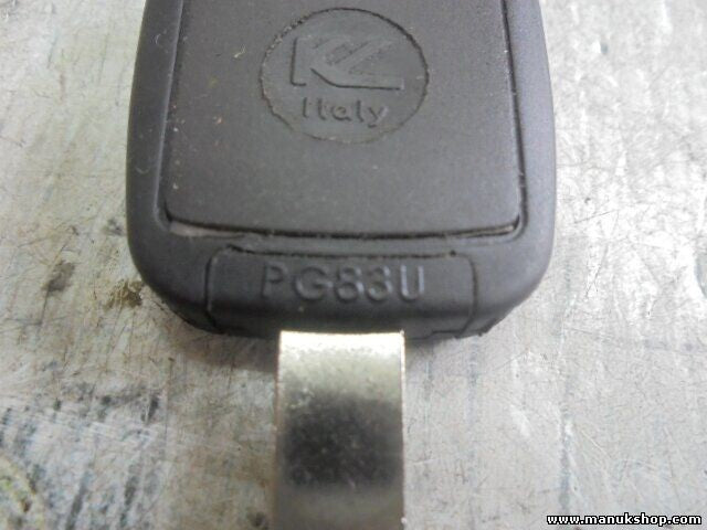 mando control remoto Citroen Peugeot Fiat TK100 PG83U