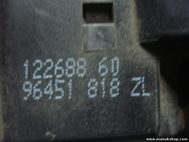 Mando de luces. intermitentes Palanca del limpiaparabrisas Citroen 96451818ZL