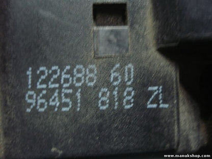 Mando de luces. intermitentes Palanca del limpiaparabrisas Citroen 96451818ZL