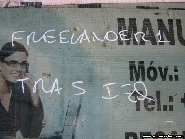 Vetro porta posteriore sinistra Land Rover Freelander TD4 2000 43R001583