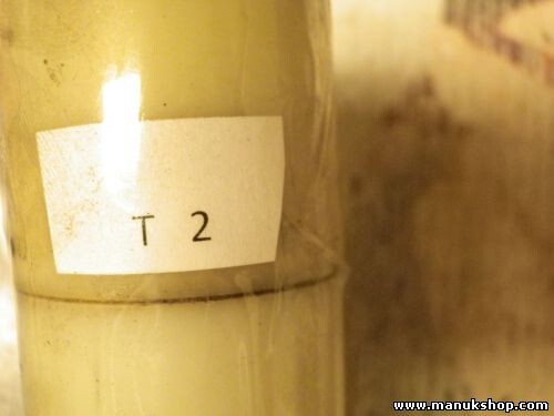 Bomba de lavado de parabrisas Nissan Terrano Ford Maverick 289200F002