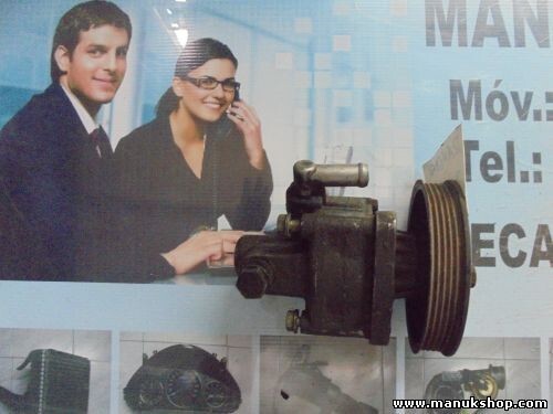 Bomba de dirección Land Rover 2,5 TD 1994-2002 2245243 7681955268