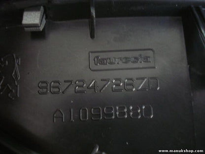 Consola central Peugeot 207 96724726ZD A1099880 A 1 099880