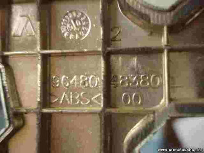 Emblema posteriore Peugeot 206 307 9648048380