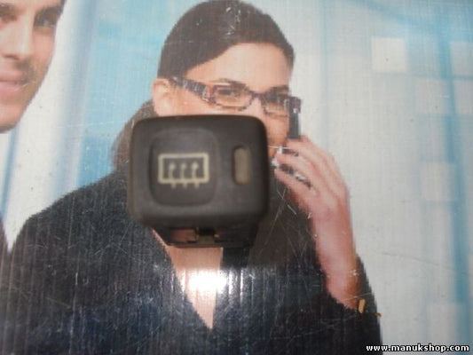 Interruptor Luneta Trasera Desempañador Citroen Xantia Peugeot 206 POM4 POM 4